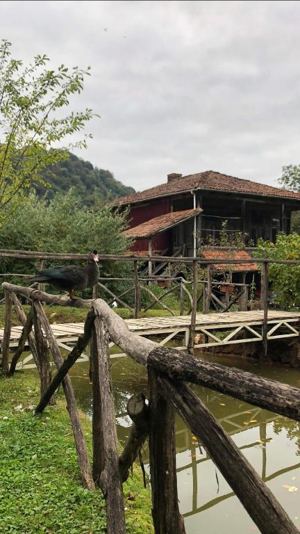 Gomis Mta Riverside Ozurget'i Buitenkant foto